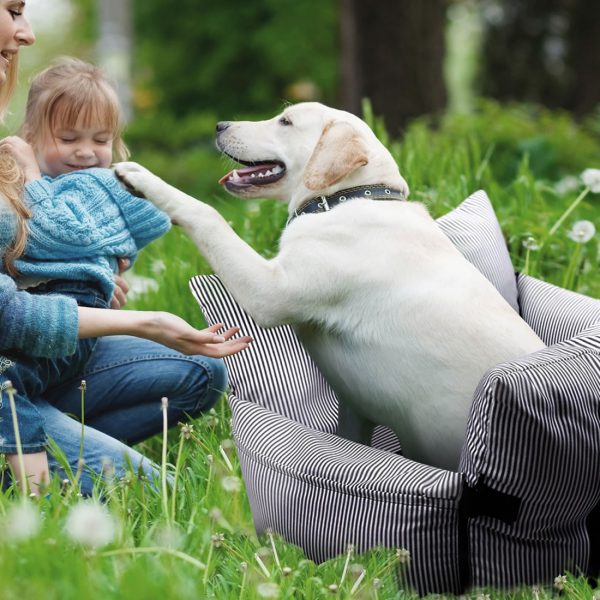 car seat booster seat for dogs 1996