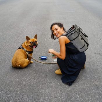 mochila de viagem para cachorro 2109