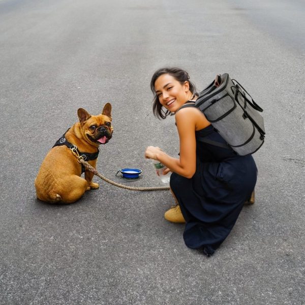 Dog Travel Bag Backpack with Dog Food Storage Container - Εικόνα 12