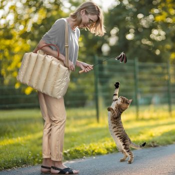 dierentas voor op reis 2289