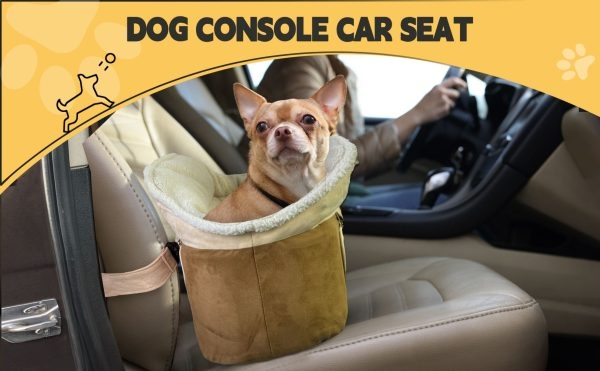 small dog car seat with safety belt 2220