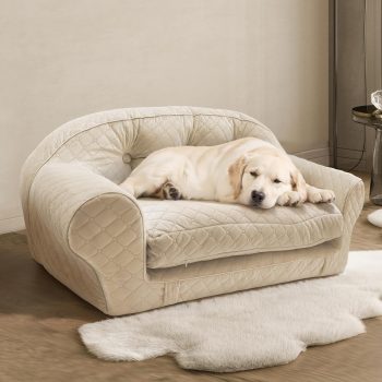 luxurious pet couch bed 2455