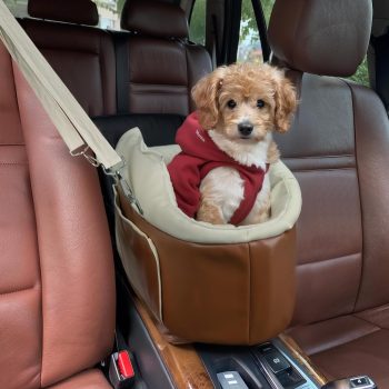 Asiento de coche para mascotas para animales pequeños 2816