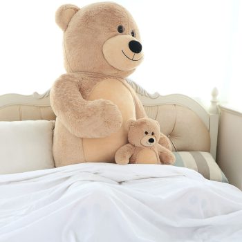 giant teddy bear brown 4286