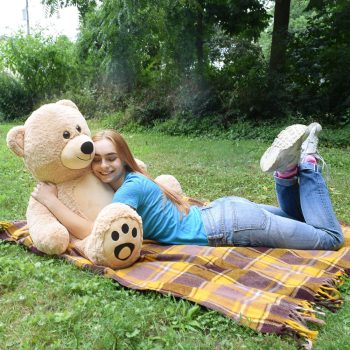 giant teddy bear brown 4296